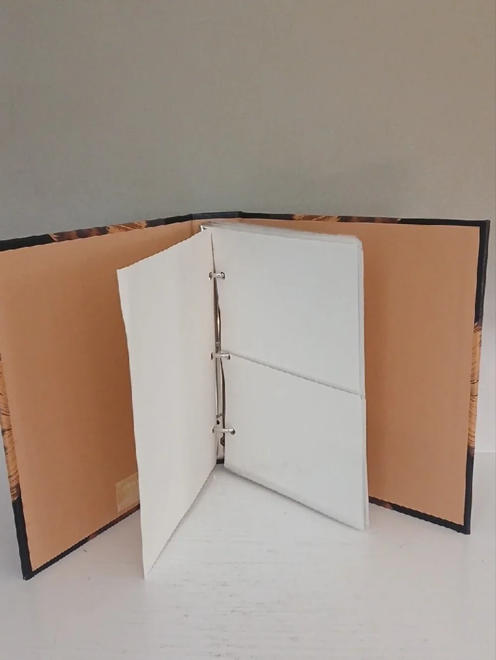 Photo Album - Picture 3 of 3
